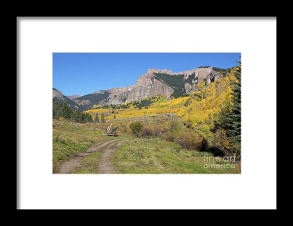 Colorado Aspen Landscape Framed Print featuring the photograph Mountain Home by Jim Garrison