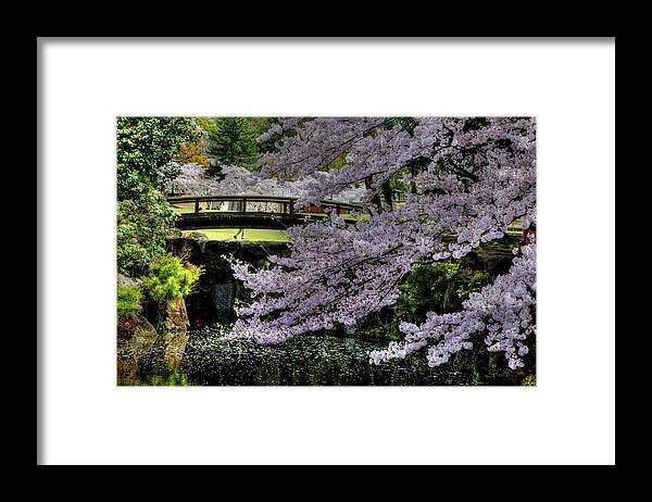 Nara Japan Framed Print featuring the photograph Nara Japan #1 by Paul James Bannerman