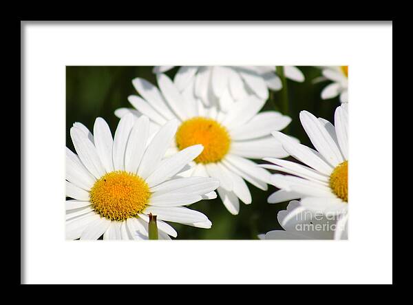 Yellow Framed Print featuring the photograph Nature's Beauty 53 by Deena Withycombe