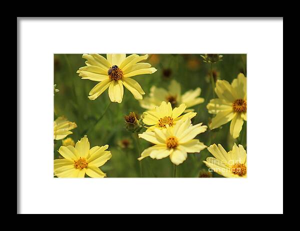 Yellow Framed Print featuring the photograph Nature's Beauty 63 by Deena Withycombe