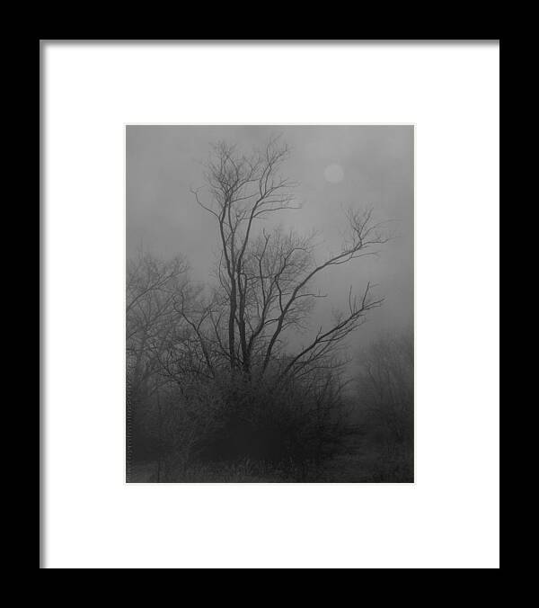 Tree Framed Print featuring the photograph Nebelbild 13 - Fog Image 13 by Mimulux Patricia No