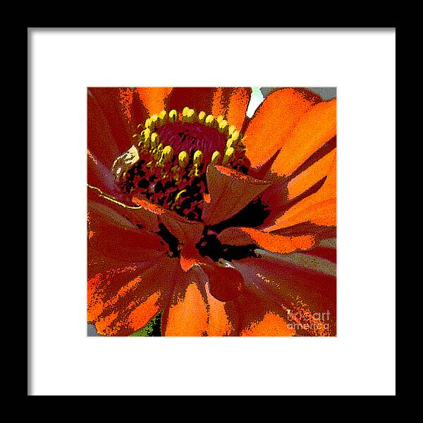 Contemporary Floral Framed Print featuring the digital art Orange zinnia 2 #1 by Marsha Young