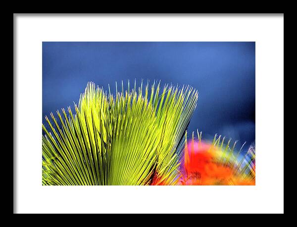 Nature Framed Print featuring the photograph Palm and Flower 32733 #2 by Jerry Sodorff