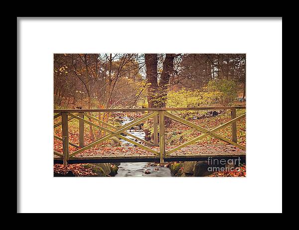 Autumn Framed Print featuring the photograph Park foot bridge #1 by Sophie McAulay
