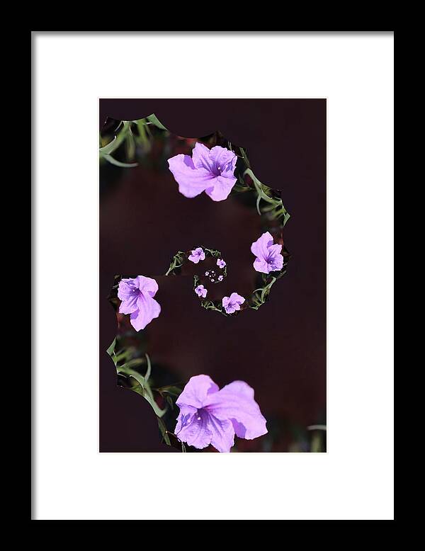 Phone Case Framed Print featuring the photograph Phone Case #1 by Debra   Vatalaro
