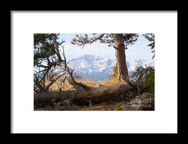 Pikes Peak Framed Print featuring the photograph Pikes Peak and Trail to Bald Mountain #1 by Steven Krull