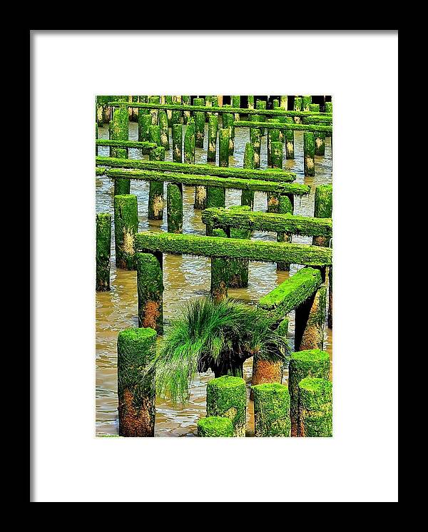 Astoria Framed Print featuring the photograph Pilings And Sea Grass by Jerry Sodorff