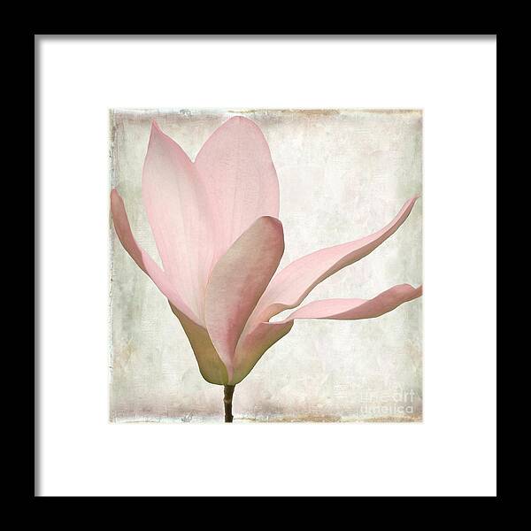 Sunwashed Flower Framed Print featuring the painting Pink Magnolia Sunwashed #1 by Mindy Sommers