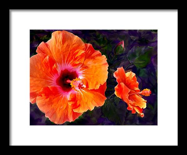 Hibiscus Framed Print featuring the painting Pinkish Orange Hibiscus by Stephen Jorgensen