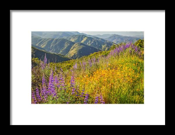 California Framed Print featuring the photograph Poppies And Lupine #1 by Marc Crumpler