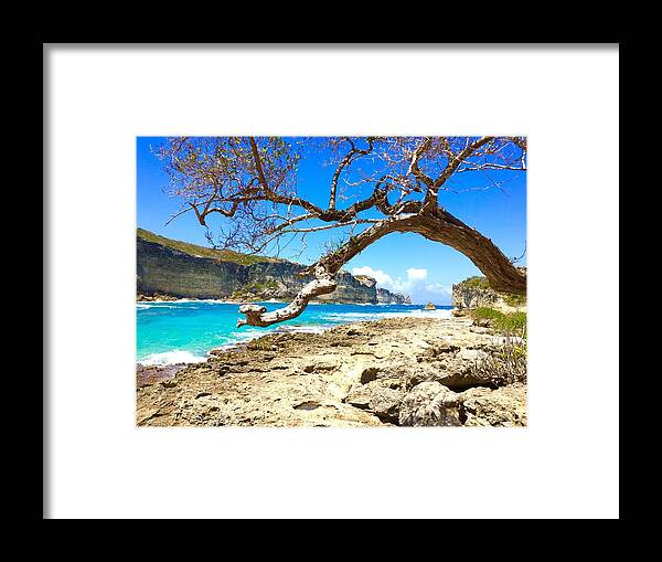 Guadeloupe Framed Print featuring the photograph Porte d Enfer, Guadeloupe #1 by Cristina Stefan