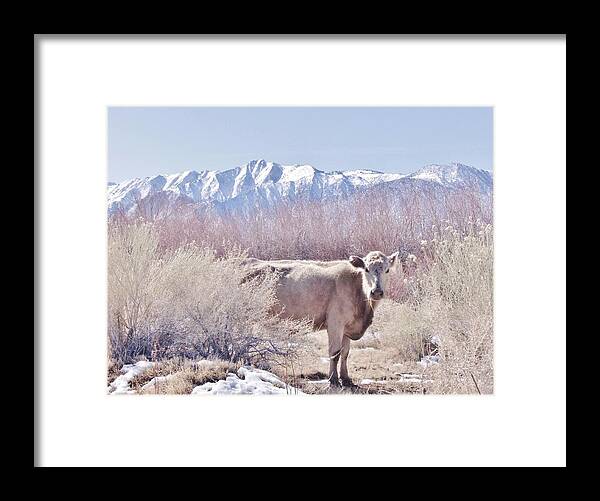 Sky Framed Print featuring the photograph Posing Pretty #1 by Marilyn Diaz