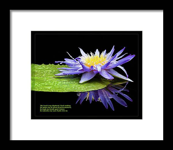 Daily Scripture Framed Print featuring the photograph Psalm 23 1-3 by Dawn Currie