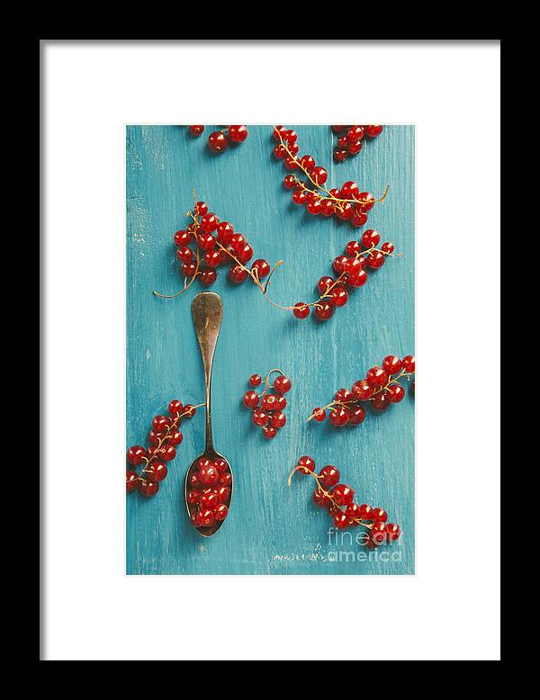 Red Framed Print featuring the photograph Red Currant #1 by Jelena Jovanovic