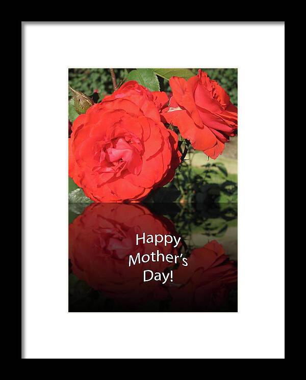 Flowers Framed Print featuring the photograph Red Reflection Mother's Day by Cynthia Westbrook
