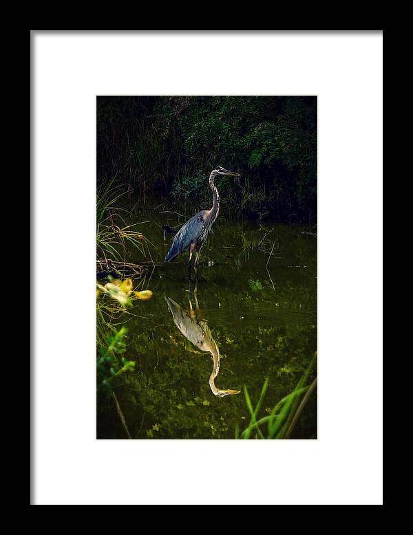  Framed Print featuring the photograph Reflect. by Kendall McKernon