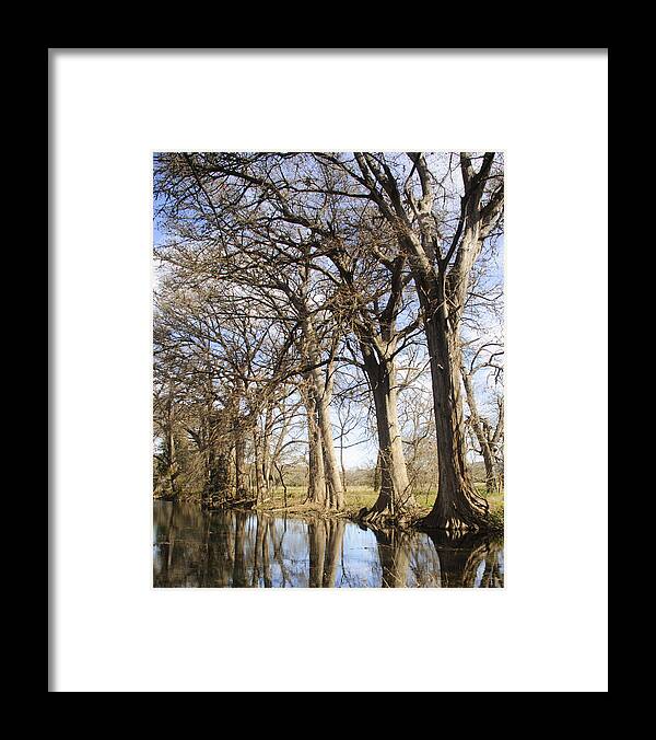 River Framed Print featuring the photograph Rio Frio in winter #1 by Brian Kinney