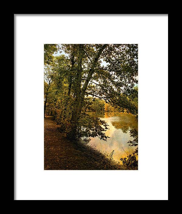 Nature Framed Print featuring the photograph Riverside Reflections #1 by Jessica Jenney