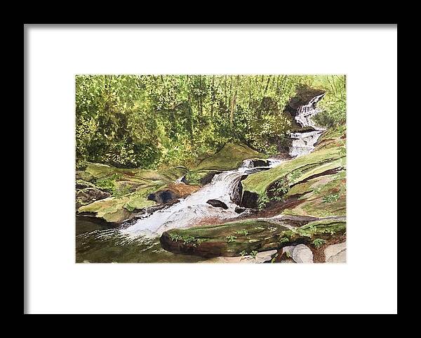 Roaring Fork Falls Framed Print featuring the painting Roaring Fork Falls -- June 2017 #1 by Joel Deutsch