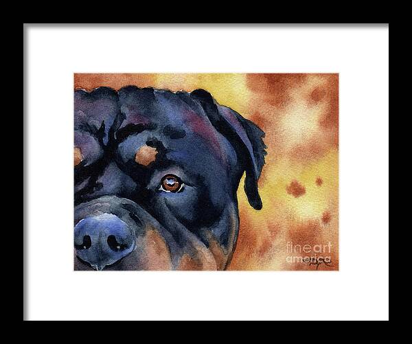 Rottweiler Framed Print featuring the painting Rottweiler #4 by David Rogers