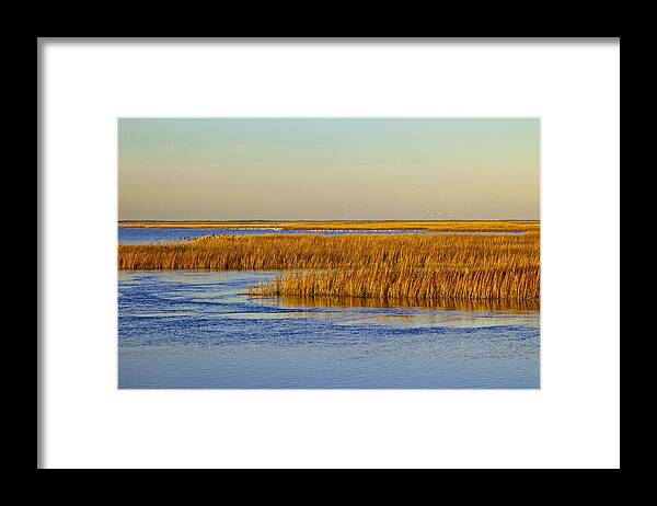 Bombay Hook Framed Print featuring the photograph Salt Marsh in Autumn #1 by Michael P Gadomski