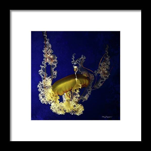 Sea Nettle Jellies Framed Print featuring the digital art Sea Nettle Jellies #1 by Thanh Thuy Nguyen