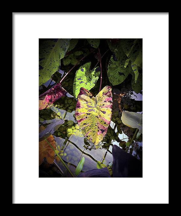 Serenity Framed Print featuring the digital art Serenity #1 by Don Wright