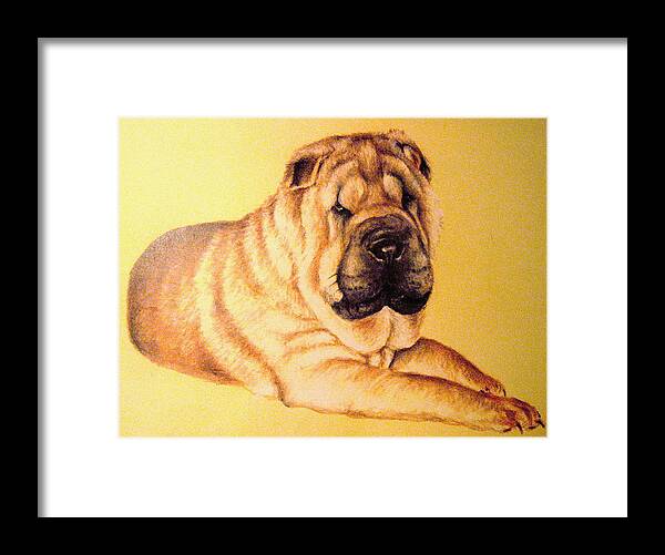 Sharpei Framed Print featuring the pastel Sharpei by Larry Whitler