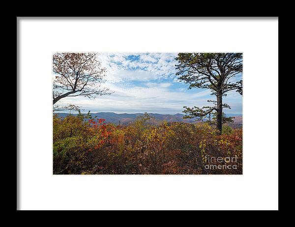 Pinnacles Overlook Framed Print featuring the photograph Shenandoah National Park in Autumn #1 by Michael Ver Sprill