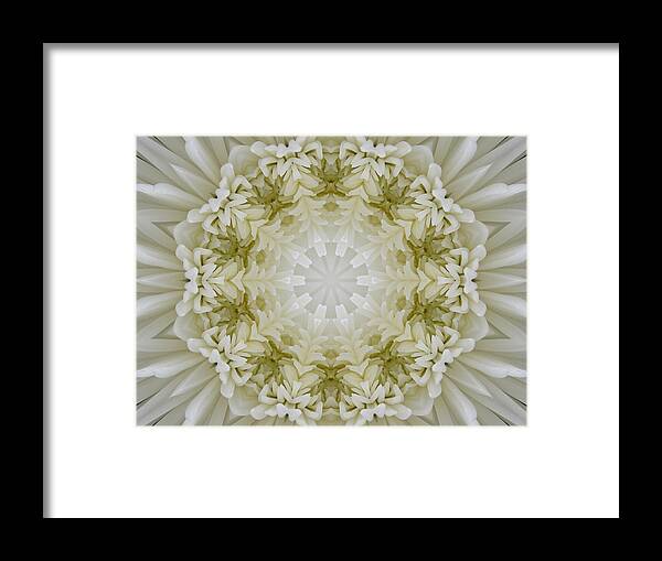 Flowers Framed Print featuring the photograph Snowflake #1 by Michele Caporaso