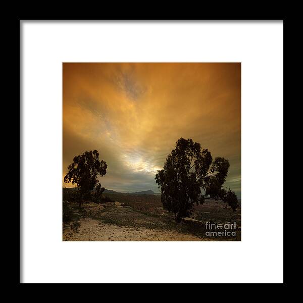Tree Framed Print featuring the photograph Spanish Landscape #1 by Ang El