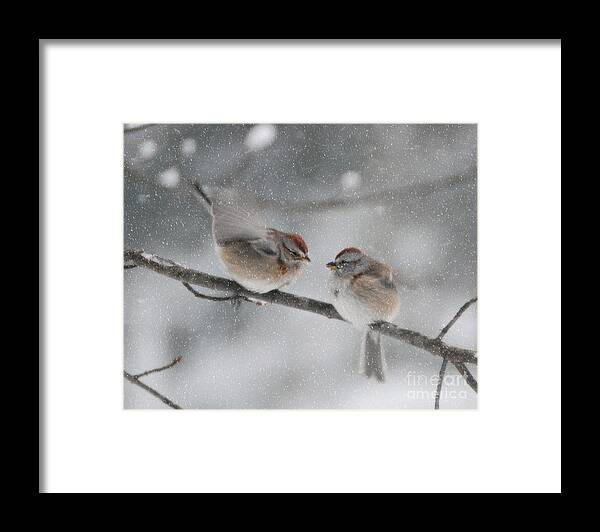 Sparrow Kiss Print Photographs Framed Print featuring the photograph Sparrow Kiss #1 by Lila Fisher-Wenzel