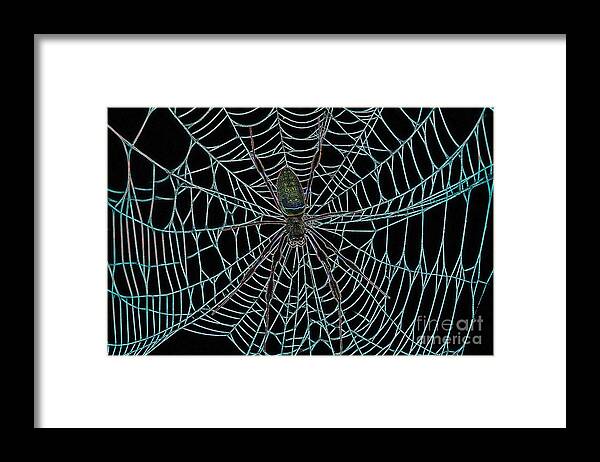 Spider Web Framed Print featuring the digital art Haunted Spider In The Web by D Hackett