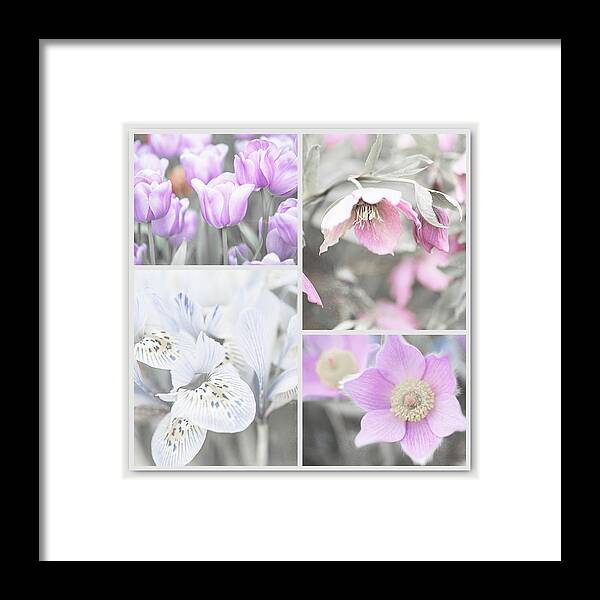 Jenny Rainbow Fine Art Photography Framed Print featuring the photograph Spring Flower Collage. Shabby Chic Collection #1 by Jenny Rainbow