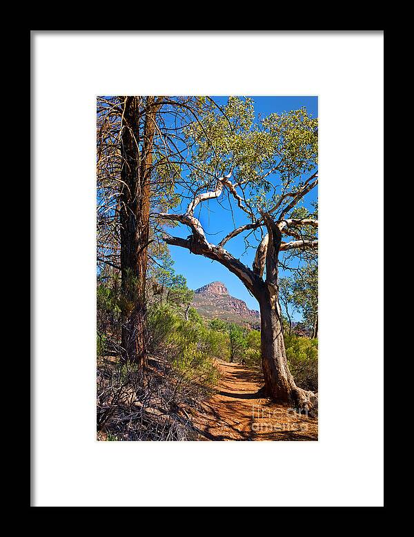 St Mary Peak Wilpena Pound Outback Landscape Landscapes South Australia Australian Framed Print featuring the photograph St Mary Peak Wilpena Pound #2 by Bill Robinson