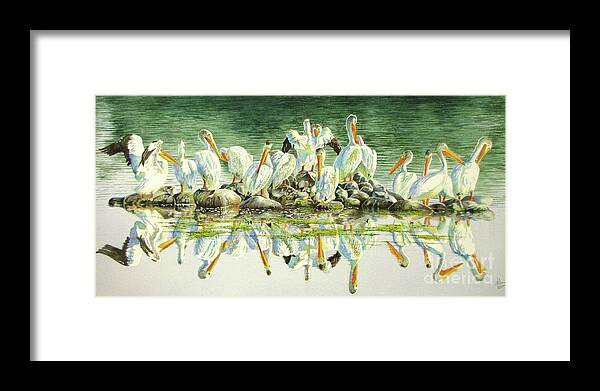 Pelican Framed Print featuring the painting Standing Room Only #1 by Greg and Linda Halom