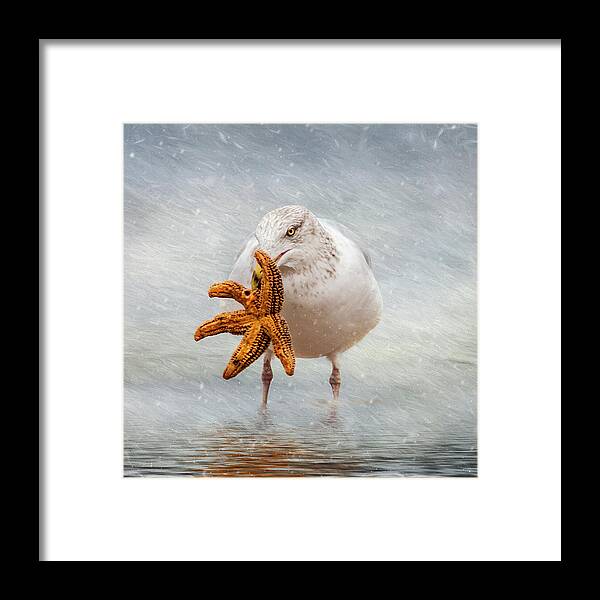Coastal Framed Print featuring the photograph Starfish For Dinner Square by Cathy Kovarik