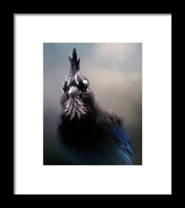 Animal Framed Print featuring the photograph Steller's Jay #1 by Lana Trussell