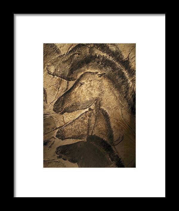 Animal Framed Print featuring the photograph Stone-age Cave Paintings, Chauvet, France by Javier Truebamsf