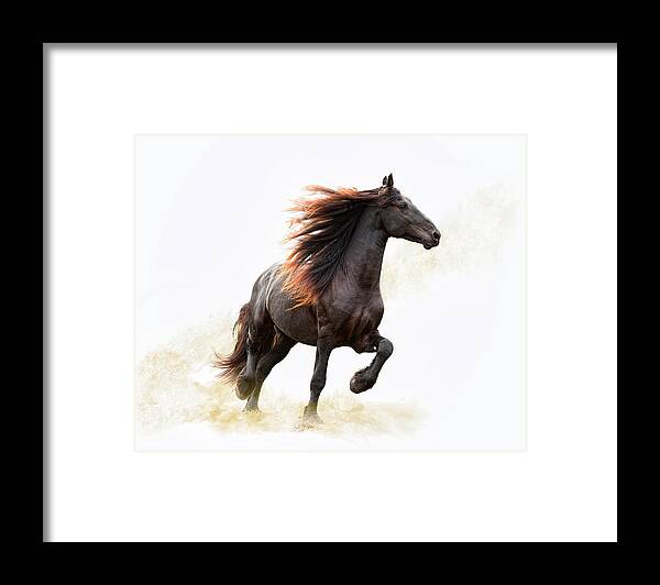 Horse Framed Print featuring the photograph Strut #1 by Ron McGinnis