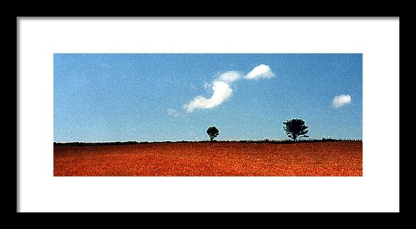 Summer Framed Print featuring the photograph Summer Field with Two Trees 2 AE2 #1 by Lyle Crump