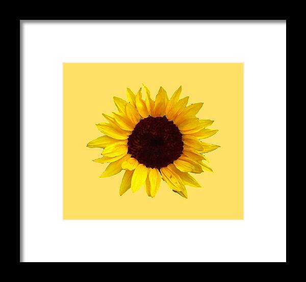 Sunflowers Framed Print featuring the photograph Sunflower #1 by Jim Sauchyn