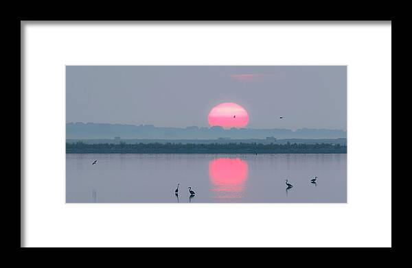 Kansas Framed Print featuring the photograph Sunrise at Cheyenne Bottoms -01 #1 by Rob Graham