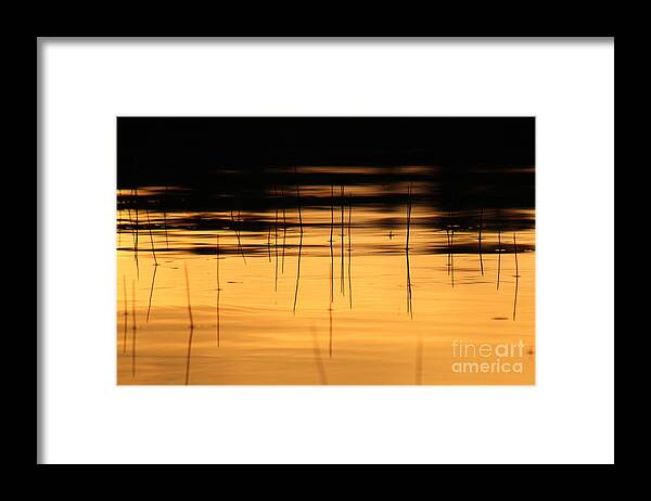 Sunset Framed Print featuring the photograph Sunset on the water by Deena Withycombe