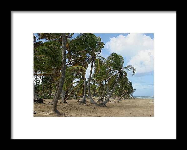 Island Framed Print featuring the photograph Sway by Robert Och
