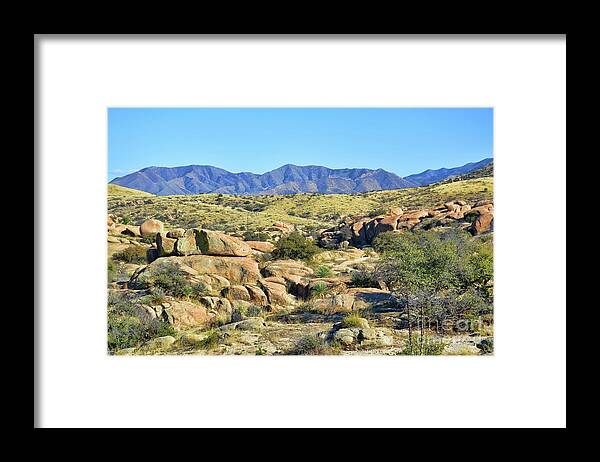 Landscape Framed Print featuring the photograph Texas Canyon Arizona by Diana Mary Sharpton