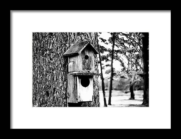 Black And White Framed Print featuring the photograph The Bird Feeder #1 by Gina O'Brien