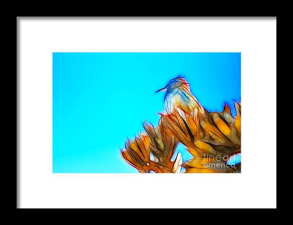 Fine Art Framed Print featuring the photograph The Cactus Wren #1 by Donna Greene