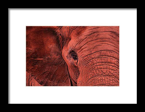 The Crimson Tide Framed Print featuring the photograph The Crimson Tide #1 by JC Findley
