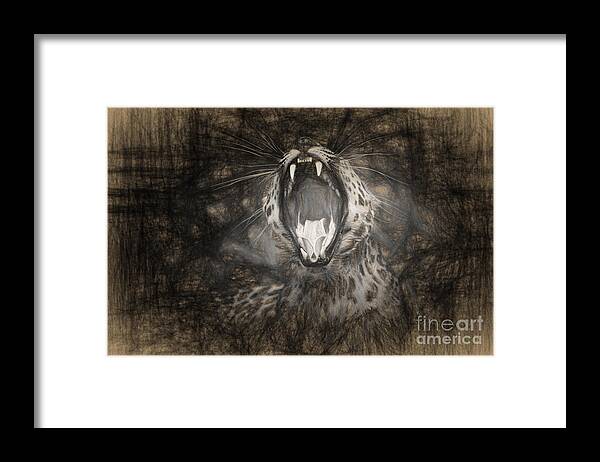 Leopard Framed Print featuring the photograph The Leopard's Tongue Rolling Roar III by Mary Lou Chmura